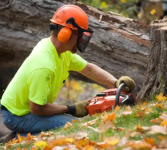 tree services Shields